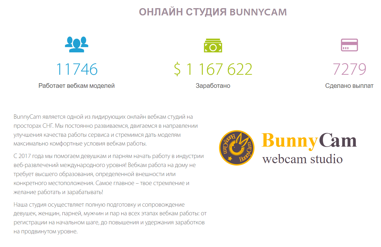 bunnycam онлайн студия статистика