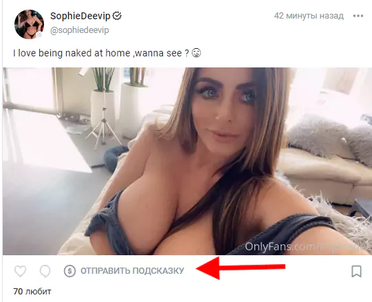 Сколько зарабатывают модели онлифанс