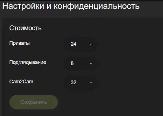 Работа на Stripchat вебкам моделью - обзор видеочата