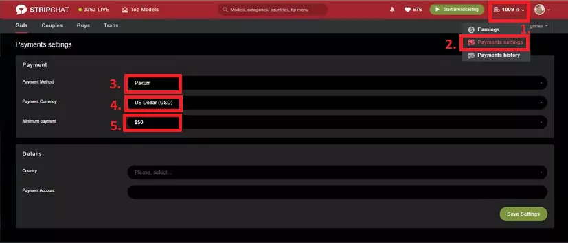 Платежи и выплаты моделям Stripchat