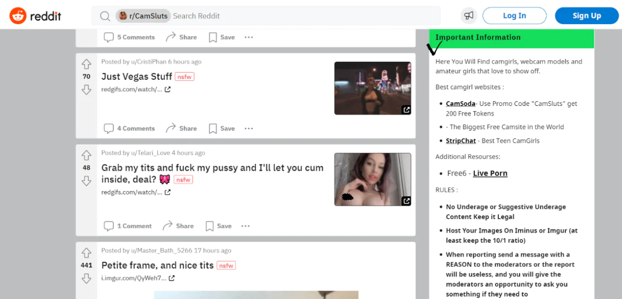 вебкам модели в Reddit